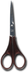 Proline Scissors, each