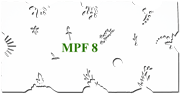STENCIL MPF8, EACH